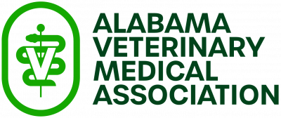 ALVMA Logo Full - Primary Dark 1468x617